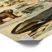 Illustration Vintager wild lebender Tiere Poster (Ecke)