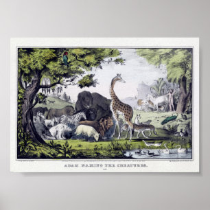 Illustration Vintager wild lebender Tiere Poster