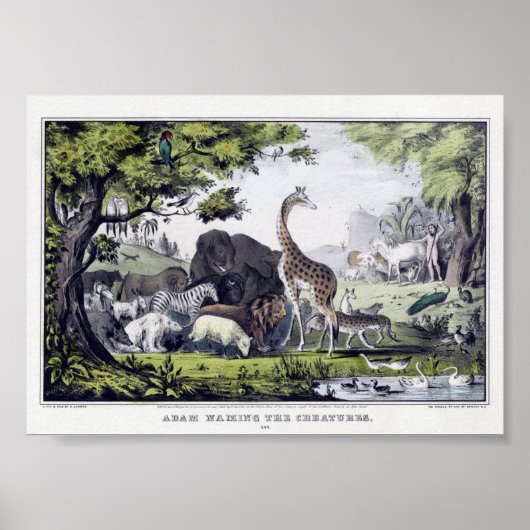 Illustration Vintager wild lebender Tiere Poster (Vorne)