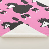 Illustration Vintages Paddelpatter Sherpadecke (3/4)