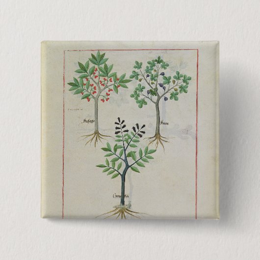 Illustration vom "Buch einfacher Medizin" 2 Button (Vorderseite)