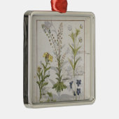 Illustration vom "Buch einfacher Medizin" 2 Silbernes Ornament (Rechts)