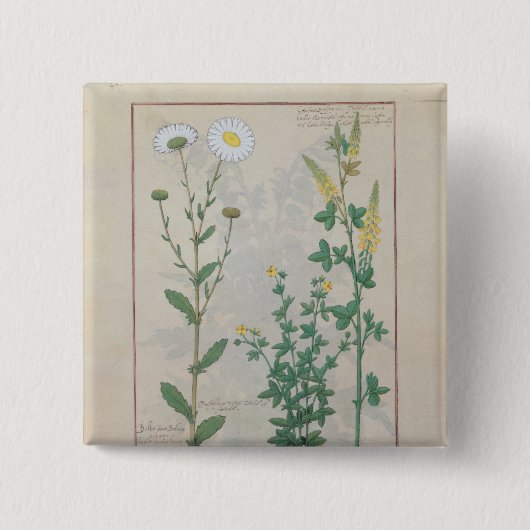 Illustration 'vom Buch von einfachem Button (Vorderseite)