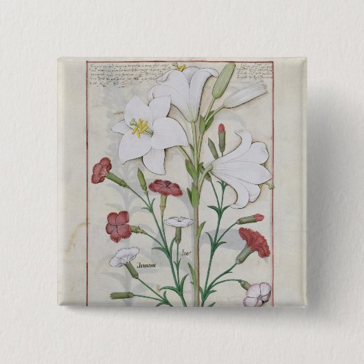 Illustration vom 'Buch von einfachem Button (Vorderseite)