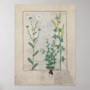 Illustration 'vom Buch von einfachem Poster