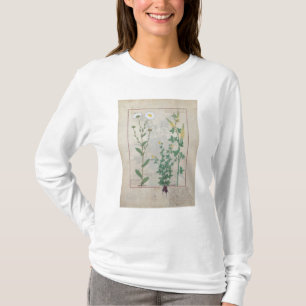 Illustration 'vom Buch von einfachem T-Shirt