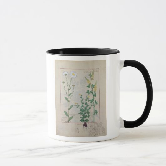 Illustration 'vom Buch von einfachem Tasse (Rechts)