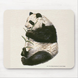 Illustration von auf Bambus fütternd Riesenpanda Mousepad