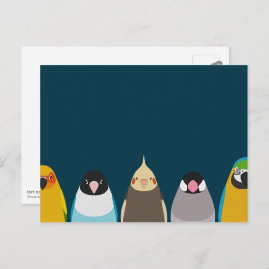 Illustration von fünf Vögeln - Tori no iro Postkarte (Vorne/Hinten)