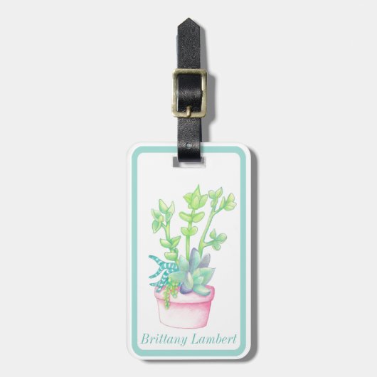Illustration von gepotteten Sukkulenten | PERSONAL Gepäckanhänger (Vorderseite vertikal)
