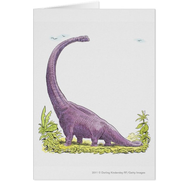 Illustration von Giraffatitan Dinosaurier (Vorne)