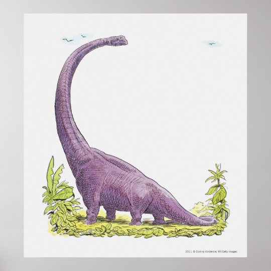 Illustration Von Giraffatitan Dinosaurier Poster Zazzle De