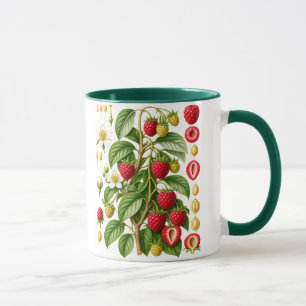 Illustration von Himbeeren im Vintage-Stil Tasse
