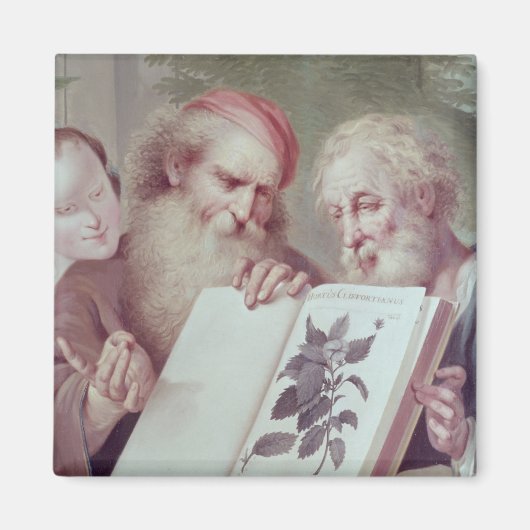 Illustration von Hortus Cliffortianus Magnet (Vorne)