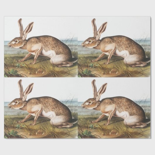 Illustration von Kaninchen (Lepus Texianus) Geschenkpapier (Flach)