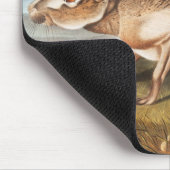 Illustration von Kaninchen (Lepus Texianus) Mousepad (Ecke)