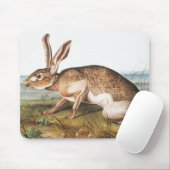 Illustration von Kaninchen (Lepus Texianus) Mousepad (Mit Mouse)
