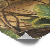 Illustration von Kaninchen (Lepus Texianus) Poster (Ecke)