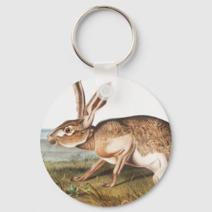 Illustration von Kaninchen (Lepus Texianus) Schlüsselanhänger