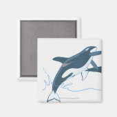 Illustration von Killerwalen (Orcinus orca) Magnet (Vorderseite/Rückseite)