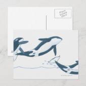 Illustration von Killerwalen (Orcinus orca) Postkarte (Vorne/Hinten)