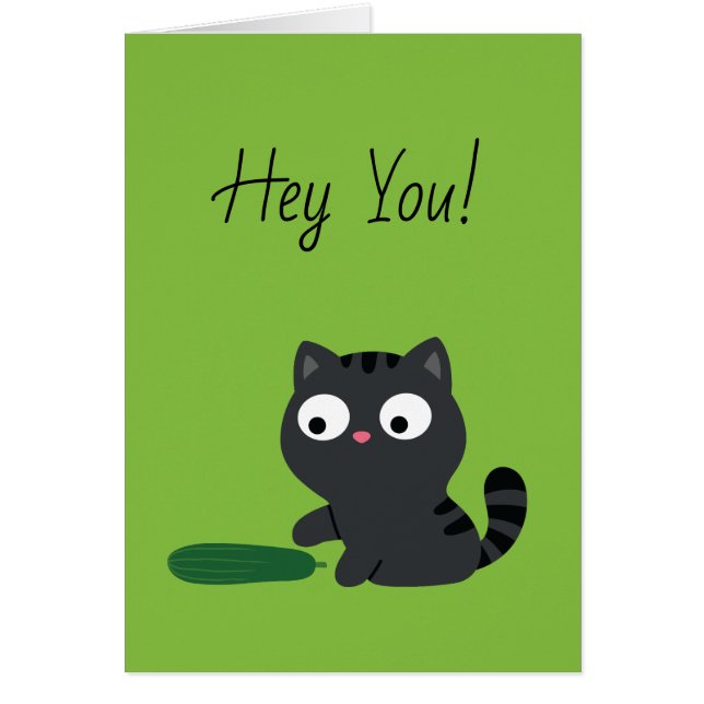 Illustration von Kitty und Cucumber (Vorne)