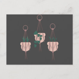 Illustration von Macrame Pflanze Hanger Planter Po Postkarte