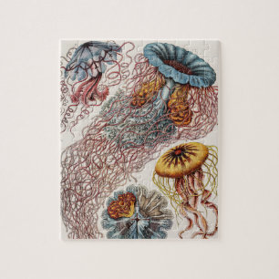 Illustration von Meereslebewesen Quallen - Ernst H Puzzle