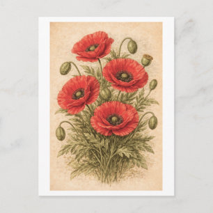 Illustration von Mohnblumen im Vintage-Stil Postkarte