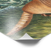Illustration von neunbanded Armadillo (Dasypus Peb Fotodruck (Ecke)