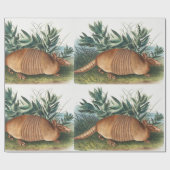Illustration von neunbanded Armadillo (Dasypus Peb Geschenkpapier (Flach)