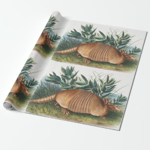 Illustration von neunbanded Armadillo (Dasypus Peb Geschenkpapier
