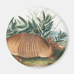 Illustration von neunbanded Armadillo (Dasypus Peb Magnet