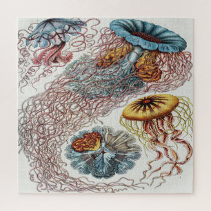Illustration von Quallen des Meereslebens - Ernst Puzzle