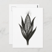 Illustration von Schwarzwinkern - Erntedesign auf Postkarte (Vorne/Hinten)