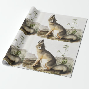 Illustration von Swift Fox (Vulpes velox) Geschenkpapier