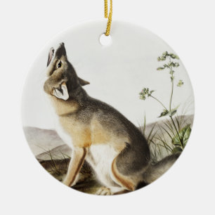Illustration von Swift Fox (Vulpes velox) Keramik Ornament