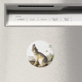 Illustration von Swift Fox (Vulpes velox) Magnet (In Situ (Geschirrspüler))