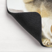 Illustration von Swift Fox (Vulpes velox) Mousepad (Ecke)