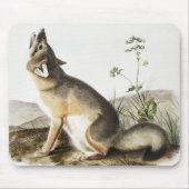 Illustration von Swift Fox (Vulpes velox) Mousepad (Vorne)
