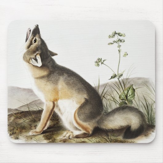 Illustration von Swift Fox (Vulpes velox) Mousepad (Vorne)