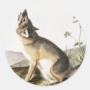 Illustration von Swift Fox (Vulpes velox) Runder Aufkleber