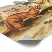 Illustration von Tawny Weasel (Putorius fuscus) Poster (Ecke)