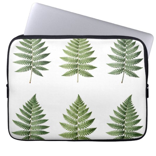 Illustration von Vintage-Botanik-Farnblättern Laptopschutzhülle (Vorderseite)