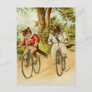 Illustration von Vintage-Katzen auf Fahrrädern auf Postkarte