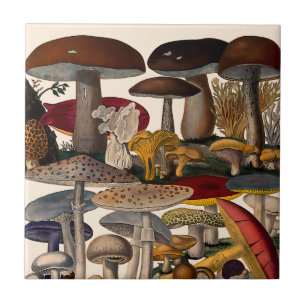 Illustration von Vintage-Pilzen Fliese