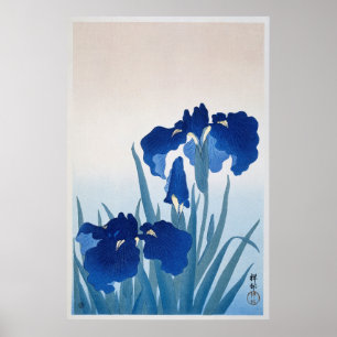 Illustration von Vintage-Schwertlilien Poster