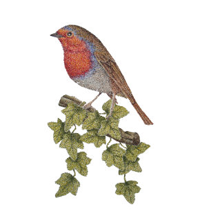 Illustration von Weihnachtsrobin und Efeu-Blätter Krawatte