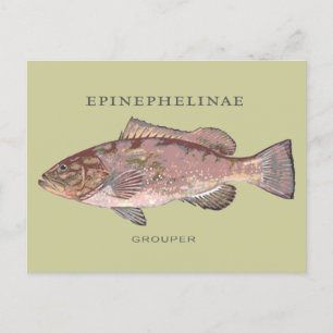 Illustration von Zackenbarschen im Vintage-Stil Postkarte