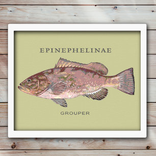 Illustration von Zackenbarschen Poster